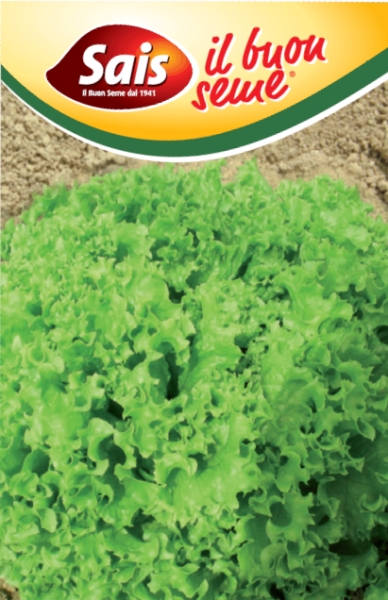 Šalát listový Lollo Bionda cca 10 g semien